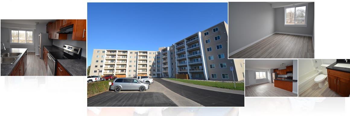 Welcome to Reliable Rentals Niagara!